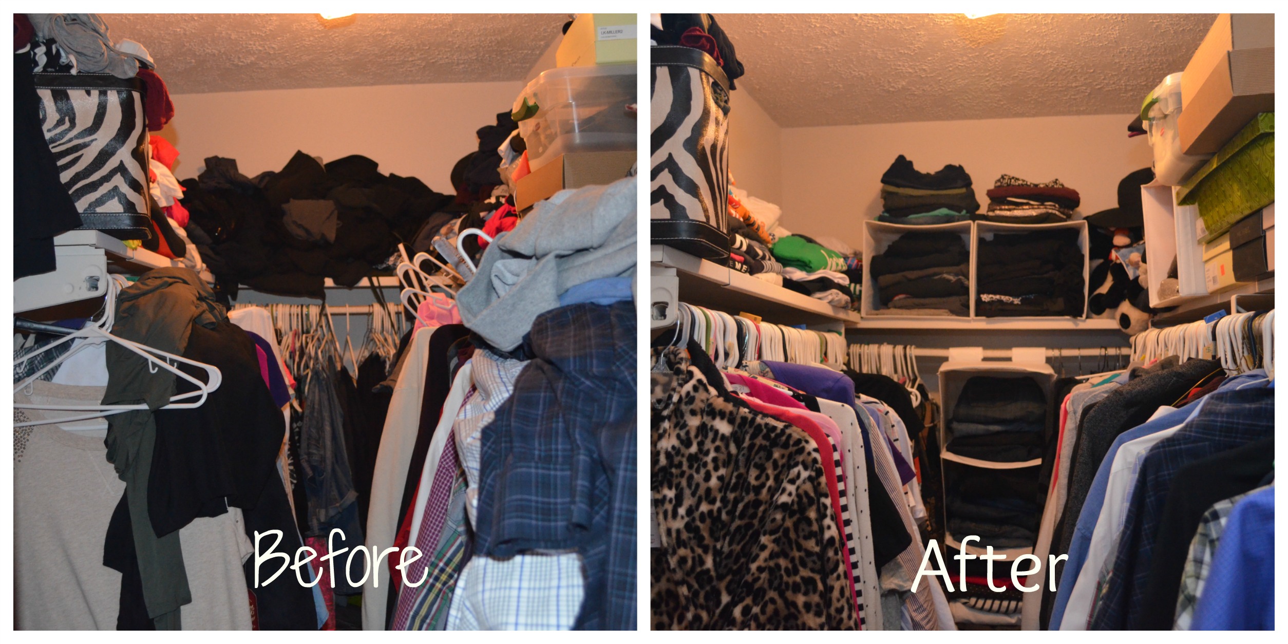 Closet Cleanse the Spiff