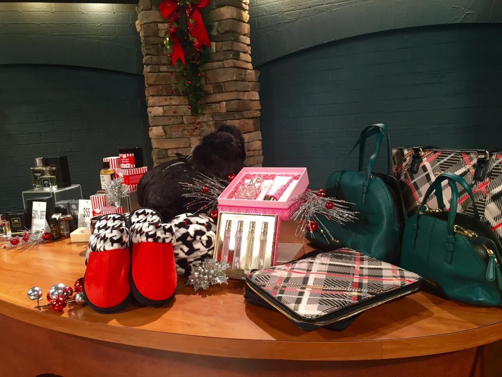 west town mall, vera bradley, art of shaving, west town mall style consultant, elizabeth ogle, ten news this morning, gift guide for girls and guys, gift guide